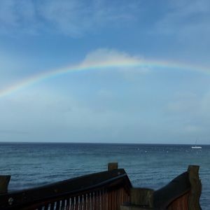 Meet your Posher, Dominique